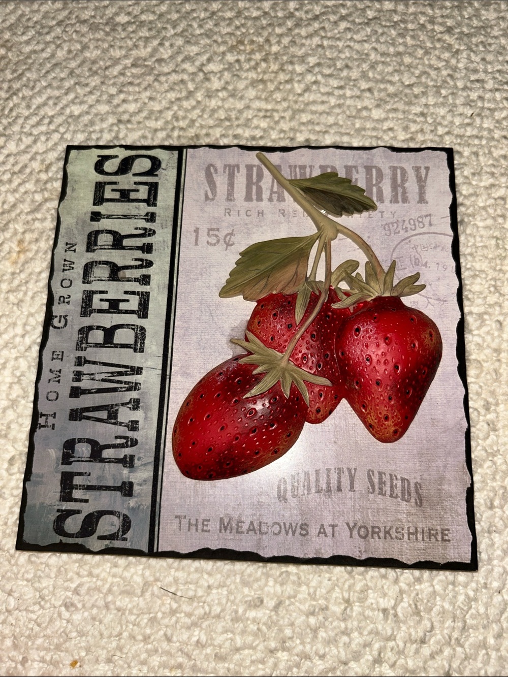 New View Strawberry Decorative Wall Decor with Red Strawberries Embossed